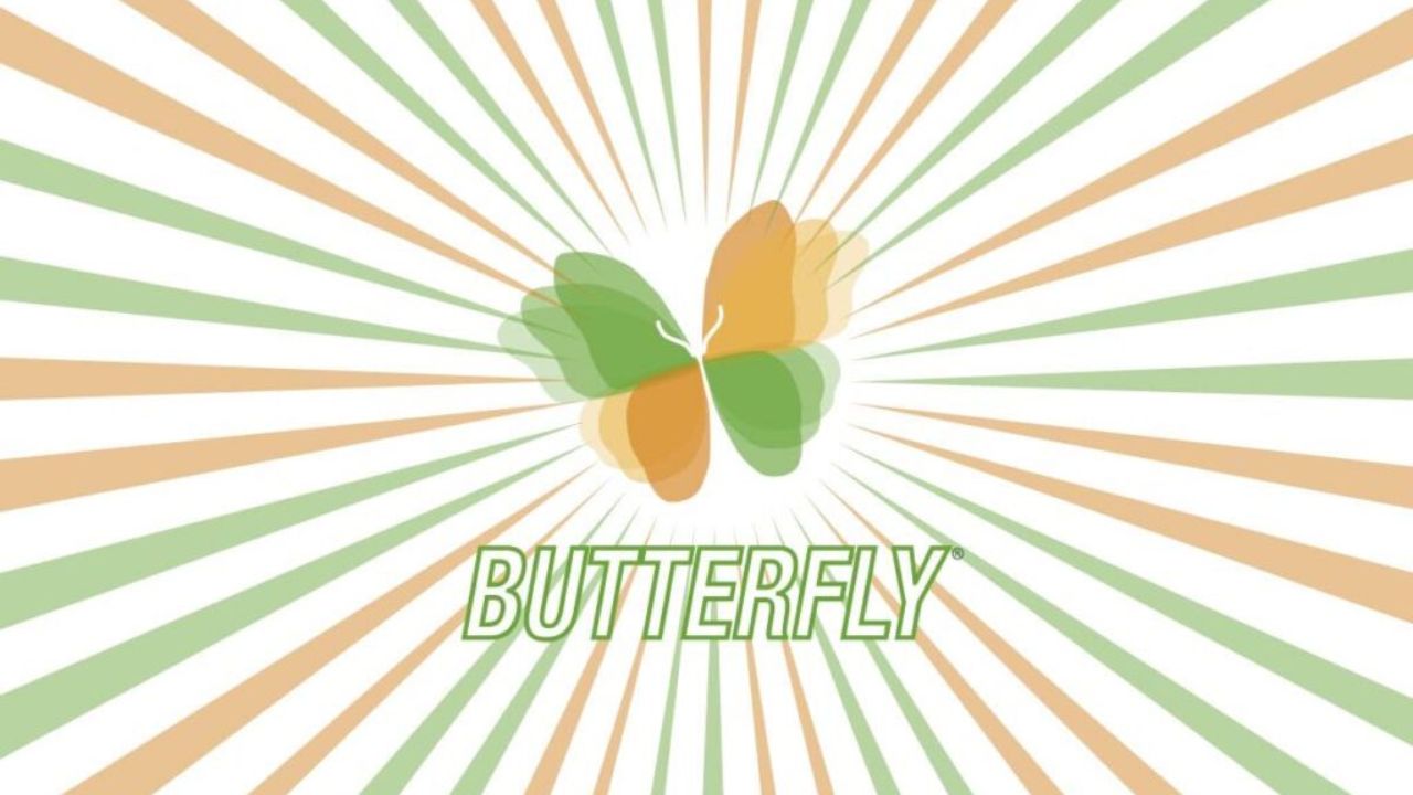 butterfly